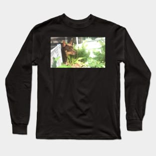 Charlie Button Long Sleeve T-Shirt